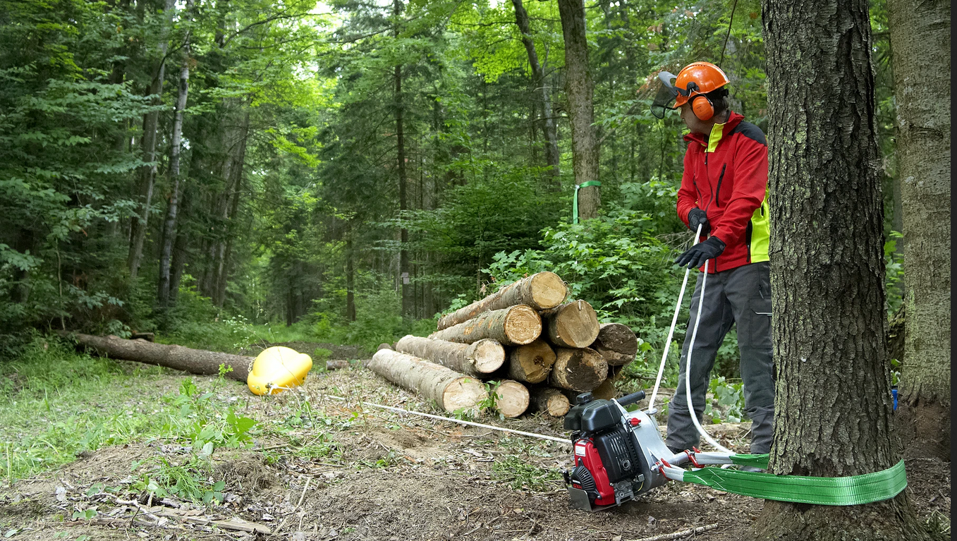 Magasinez chez des experts d'ici