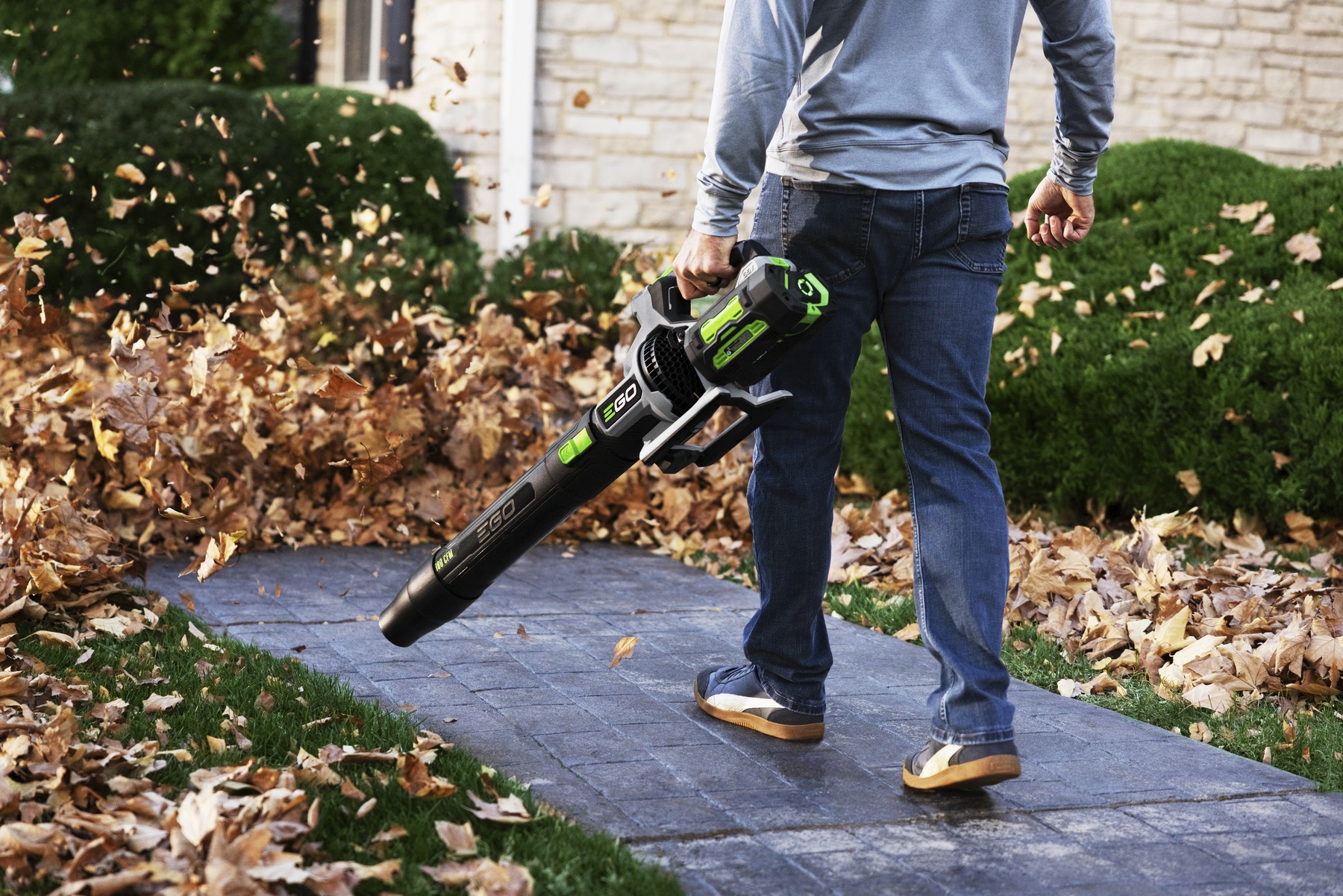 Souffleurs à feuilles image