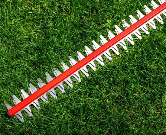 iGOCordless+ | Cordless Hedge Trimmer | HT4221-10