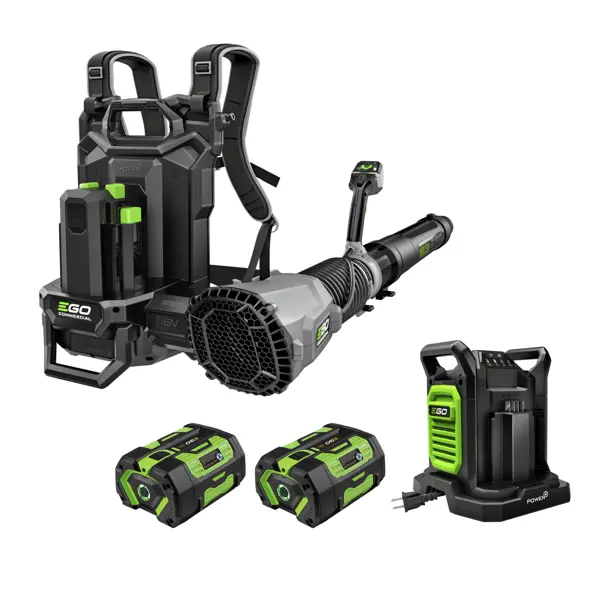 iGOCordless+ | Cordless Blower | LBPX8004-2