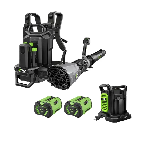 iGOCordless+ | Cordless Blower | LBPX8006-2