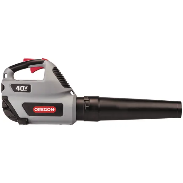 iGOCordless | Cordless Blower | BL300