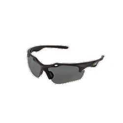 LUNETTES DE SÉCURITÉ (LENTILLES GRISES)